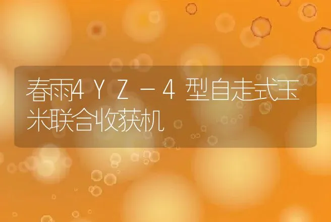 春雨4YZ-4型自走式玉米联合收获机 | 养殖