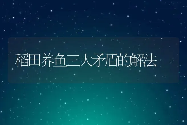 稻田养鱼三大矛盾的解法 | 动物养殖