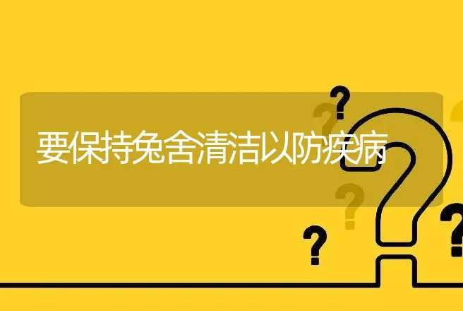 要保持兔舍清洁以防疾病 | 动物养殖