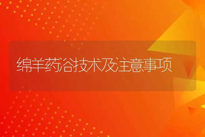 绵羊药浴技术及注意事项 | 动物养殖