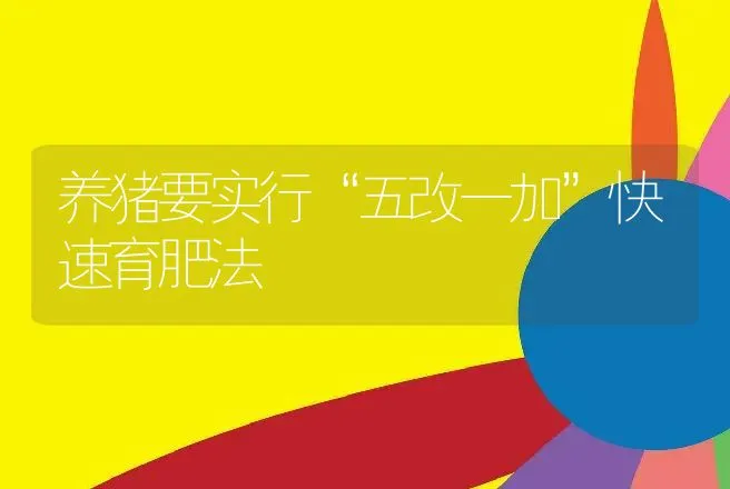 养猪要实行“五改一加”快速育肥法 | 动物养殖