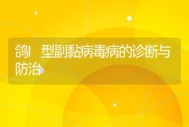 鸽I型副黏病毒病的诊断与防治 | 动物养殖