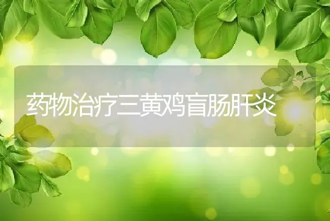 药物治疗三黄鸡盲肠肝炎 | 动物养殖