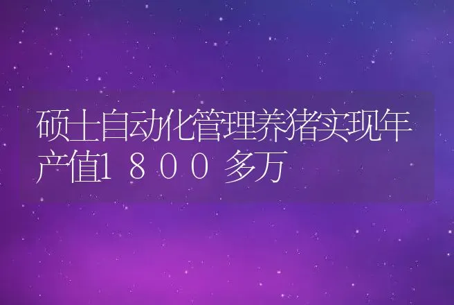 硕士自动化管理养猪实现年产值1800多万 | 养殖致富