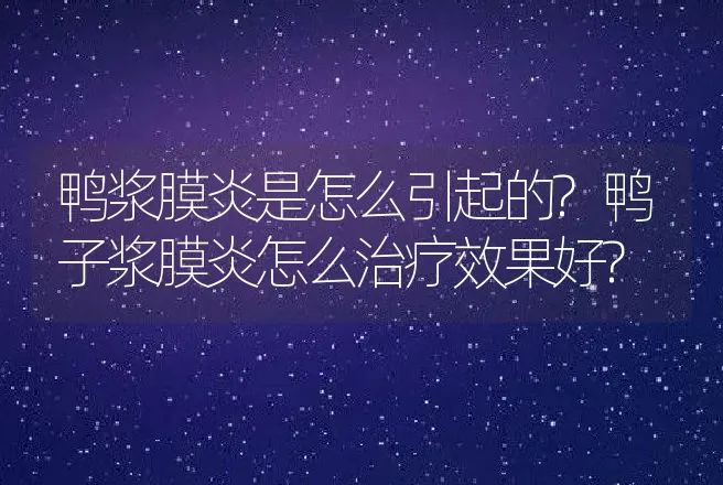 鸭浆膜炎是怎么引起的?鸭子浆膜炎怎么治疗效果好? | 兽医知识大全