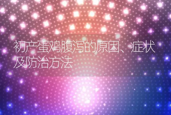 初产蛋鸡腹泻的原因、症状及防治方法 | 兽医知识大全