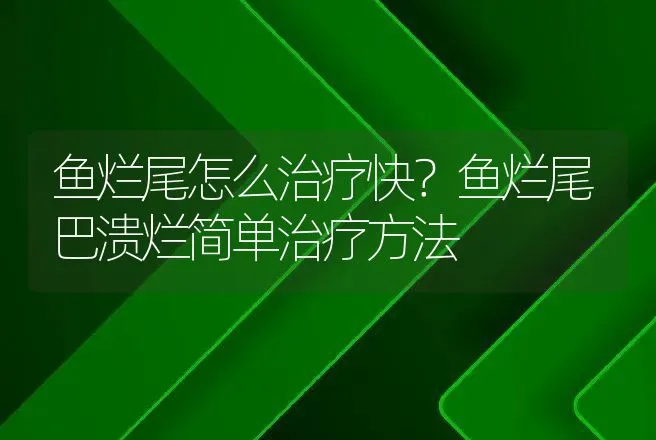 鱼烂尾怎么治疗快？鱼烂尾巴溃烂简单治疗方法 | 兽医知识大全