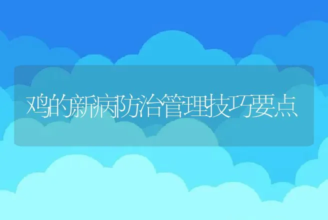 鸡的新病防治管理技巧要点 | 动物养殖