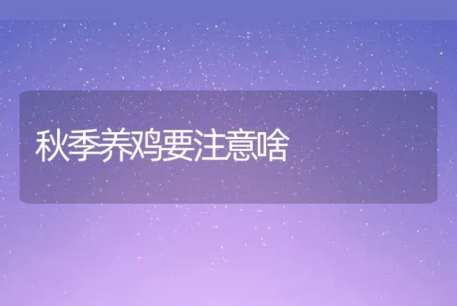 秋季养鸡要注意啥 | 家禽养殖