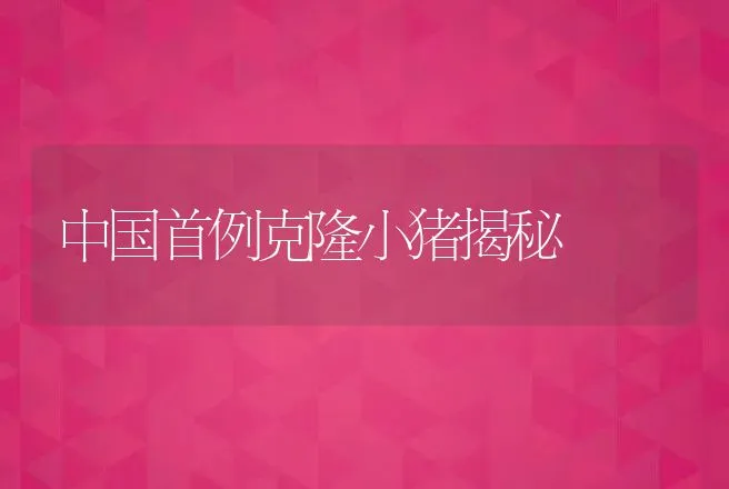 甲鱼白点防治方法 | 动物养殖