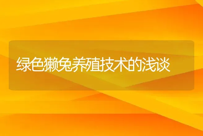 绿色獭兔养殖技术的浅谈 | 动物养殖