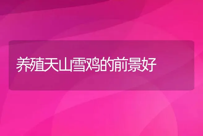 电脑养鸡防疫管理标准化 | 动物养殖