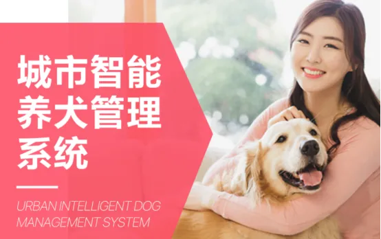 城市智能养犬管理系统专家—纳九物联 | 宠物新闻资讯