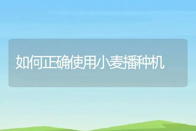 如何正确使用小麦播种机 | 养殖