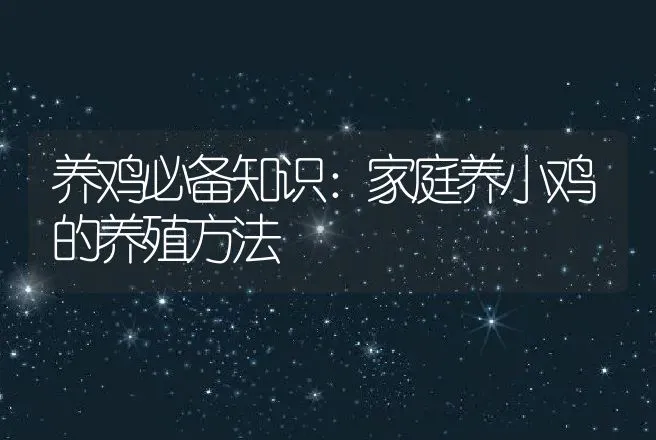 养鸡必备知识：家庭养小鸡的养殖方法 | 家禽养殖