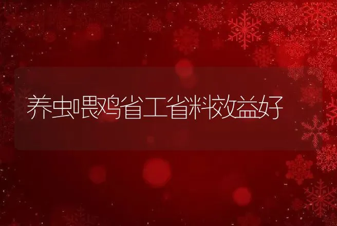 养虫喂鸡省工省料效益好 | 动物养殖