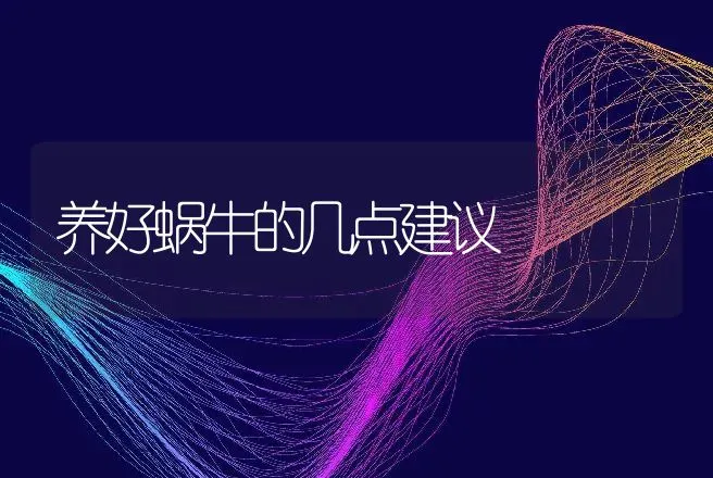 养好蜗牛的几点建议 | 动物养殖