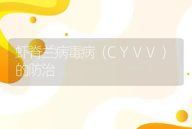 虾脊兰病毒病（CYVV）的防治 | 动物养殖