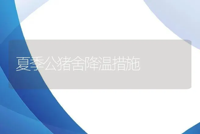 夏季公猪舍降温措施 | 动物养殖