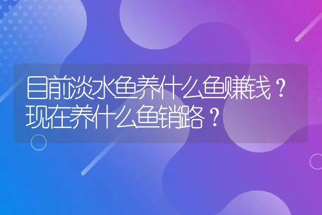 目前淡水鱼养什么鱼赚钱？现在养什么鱼销路？ | 养殖致富