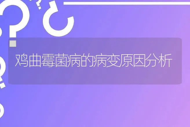 鸡曲霉菌病的病变原因分析 | 兽医知识大全