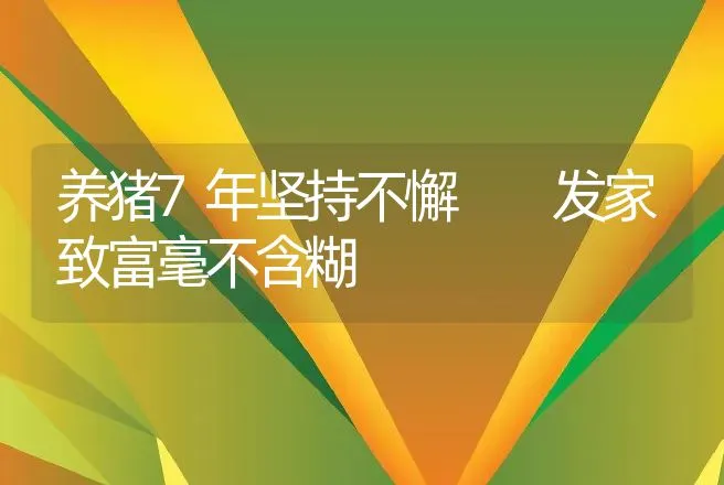 养猪7年坚持不懈  发家致富毫不含糊 | 养殖致富