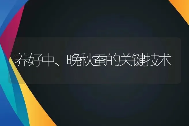 养好中、晚秋蚕的关键技术 | 动物养殖