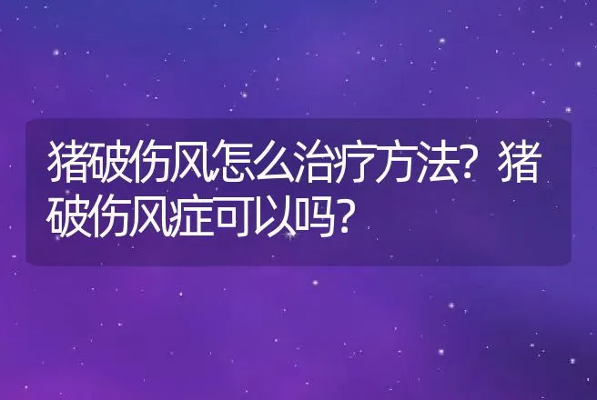 猪破伤风怎么治疗方法？猪破伤风症可以吗？ | 兽医知识大全