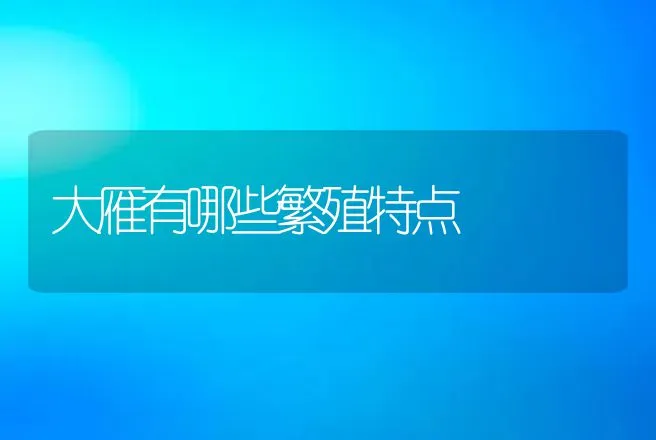 大雁有哪些繁殖特点 | 特种养殖