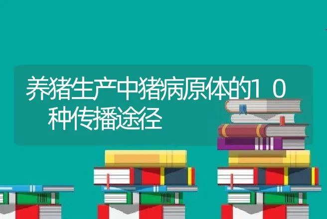 养猪生产中猪病原体的10 种传播途径 | 动物养殖