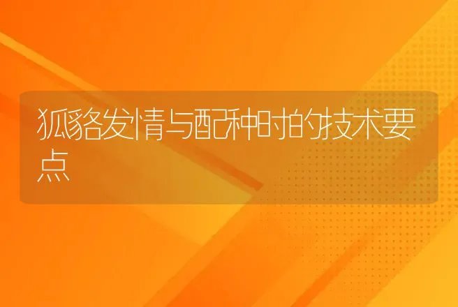 狐貉发情与配种时的技术要点 | 特种养殖