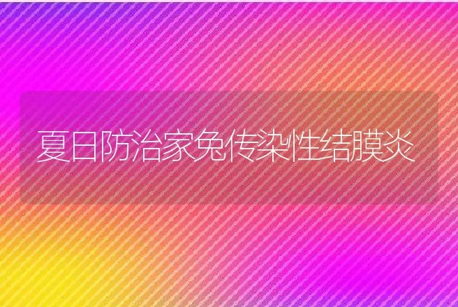 夏日防治家兔传染性结膜炎 | 动物养殖