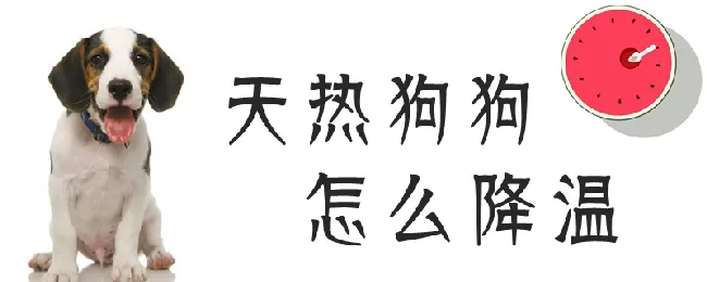 天热狗狗怎么降温 | 宠物病虫害防治