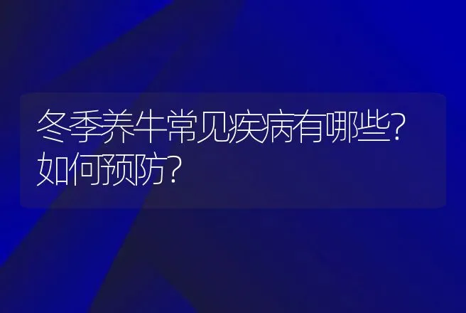 冬季养牛常见疾病有哪些？如何预防？ | 兽医知识大全