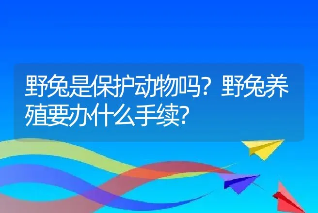 野兔是保护动物吗？野兔养殖要办什么手续？ | 特种养殖