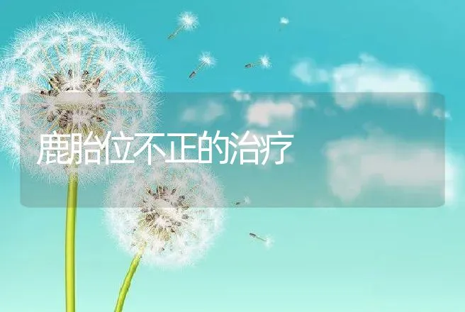 鹿胎位不正的治疗 | 动物养殖