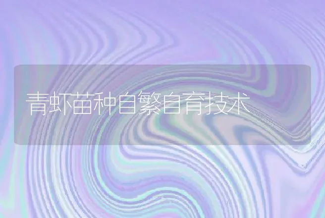 青虾苗种自繁自育技术 | 动物养殖