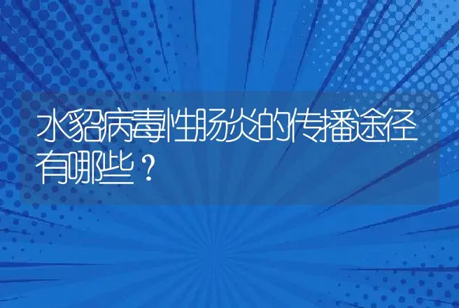 水貂病毒性肠炎的传播途径有哪些？ | 兽医知识大全