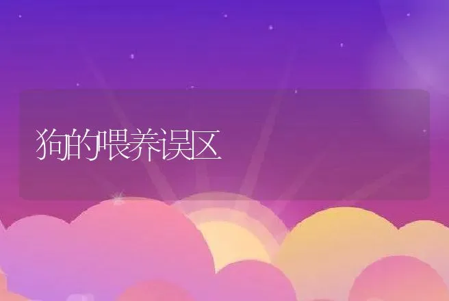 狗的喂养误区 | 动物养殖