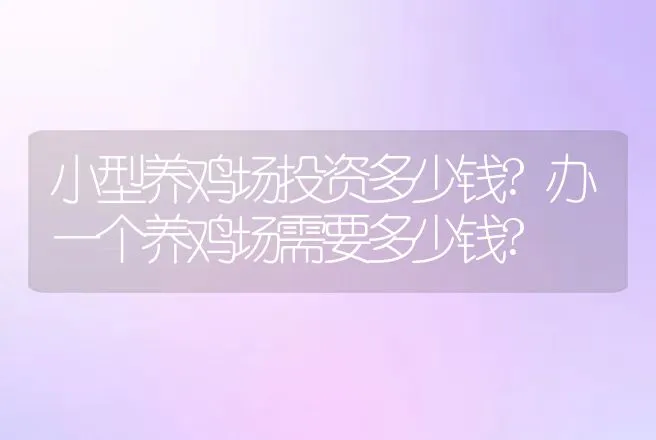 小型养鸡场投资多少钱?办一个养鸡场需要多少钱? | 兽医知识大全