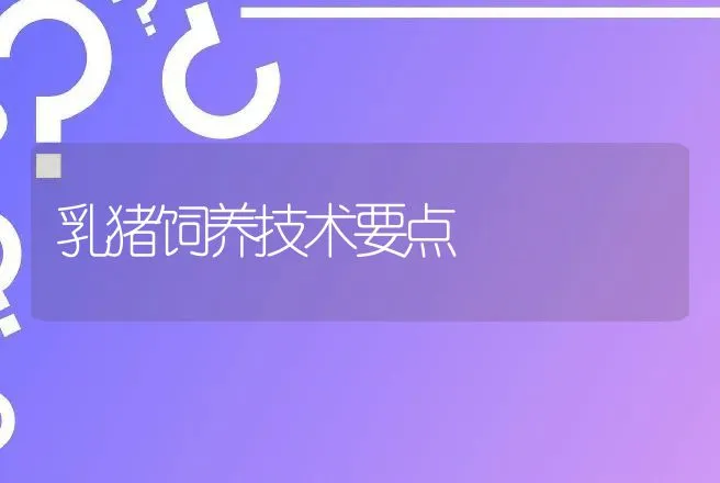 乳猪饲养技术要点 | 动物养殖