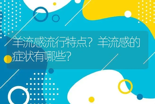 羊流感流行特点？羊流感的症状有哪些？ | 兽医知识大全