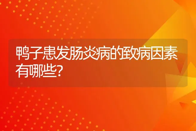 鸭子患发肠炎病的致病因素有哪些？ | 家禽养殖