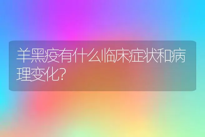 羊黑疫有什么临床症状和病理变化？ | 家畜养殖