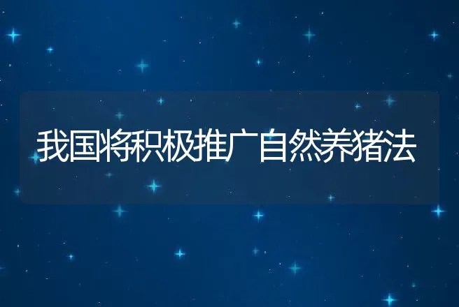 我国将积极推广自然养猪法 | 动物养殖