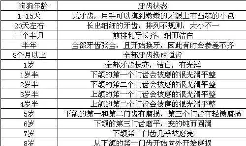 汪星人冷知识丨狗狗年龄对照表 | 宠物狗饲养