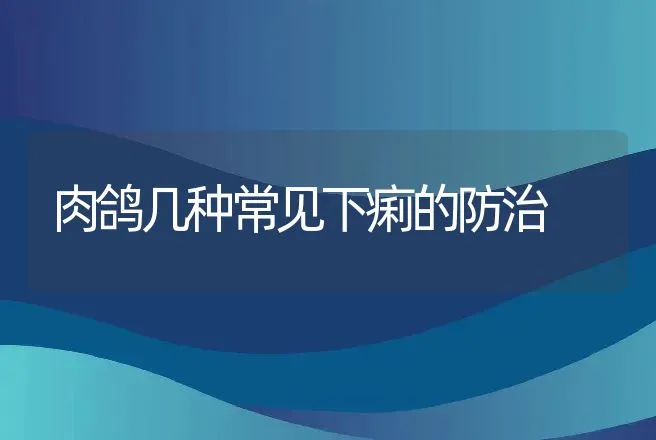 肉鸽几种常见下痢的防治 | 动物养殖