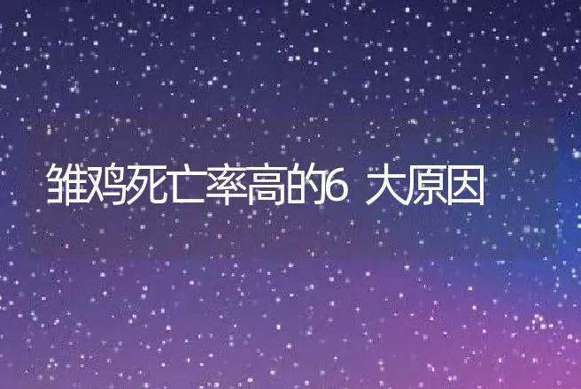 雏鸡死亡率高的6大原因 | 动物养殖