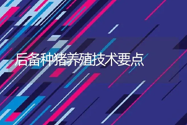 后备种猪养殖技术要点 | 家畜养殖