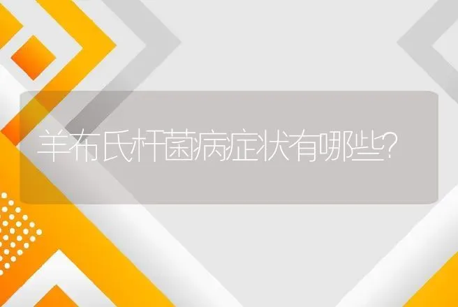 羊布氏杆菌病症状有哪些？ | 家畜养殖